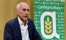 Gelfi: &laquo;Agricoltura centrale per l'economia del territorio&raquo;