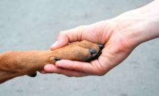 Fido potrà essere tumulato nella stessa tomba del padrone