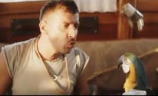 Il pappagallo Antoneddu star del web finisce in tribunale Video