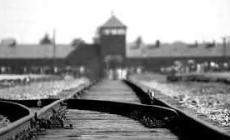 Il Viaggio della Memoria  - Mauthausen 2019. Stasera lo Speciale