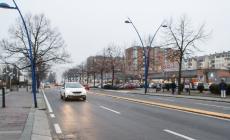 Il volontario in viale Piacenza: &laquo;Mi hanno rubato gli zaini con soldi e oggetti cari mentre consegnavo un cane disabile per un'adozione&raquo;