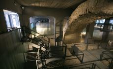 Incontro con la docente  Schettino