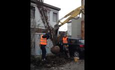  Sostituite le piante secche di viale Villetta: la ditta piantuma nuovi alberi - Foto 
