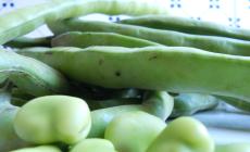 La ricetta "green" - Pizza con fave e pecorino