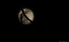 La vostra "superluna"