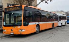 Scuole chiuse, corse bis vuote: Tep incontra la Regione