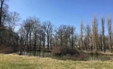 Reggia di Colorno: al via i lavori per riaprire il parco storico dopo 5 anni di chiusura