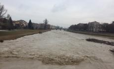 La voce della Parma: la città ritrova il rumore dell'acqua Foto