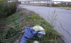 Tornano le &laquo;pulizie di primavera&raquo;. Al via la raccolta di rifiuti abbandonati lungo 70 chilometri di strade