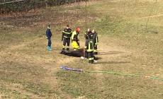 Cavalla cade in un dirupo: sedata e recuperata con l'elicottero