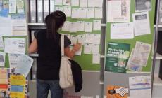 Gazzetta lavoro: gli annunci di Publiedi