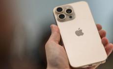 Scippa il telefonino a un giardiniere del Duc: condannato