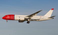 Non imbarcano il criceto sull'aereo, lei lo getta nel water