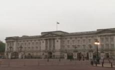 Davanti a Buckingham Palace con un taser, arrestato 
