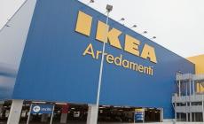 Violento tentativo di furto all'Ikea, arrestato parmigiano: "Avevo dimenticato di pagare"