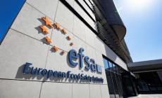 Guerra e antiterrorismo, timori anche a Parma: occhi puntati sull'Efsa, la sinagoga e altri &laquo;obiettivi sensibili&raquo;