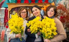 Per le parmigiane dietro le mimose c'&egrave; una storia di lotte