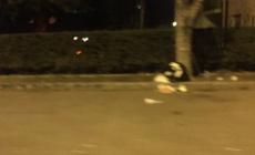Consegna... dei rifiuti in piazzale Beccaria