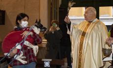 La benedizione degli animali  per Sant'Antonio abate - Fotogallery