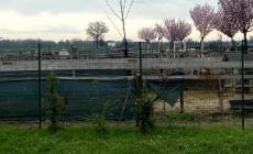 Blitz nella fattoria lager: animali morti, denutriti e maltrattati