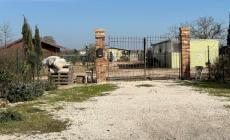 Fattoria degli orrori a Parma, Meo: &laquo;I cani vittime di estrema crudelt&agrave;&raquo;. Gialdi: &laquo;Quanti animali morti?&raquo;