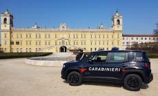 In 10 festeggiano un compleanno in un appartamento: multa di 3200 euro a Colorno