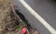 "Buca pericolosa  in Strada Pedrignano"