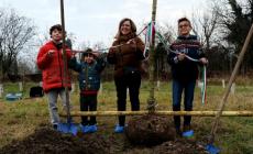 Maria Paola Chiesi: &laquo;KilometroVerdeParma, un modello che funziona e da esportare&raquo;