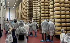 Il Parmigiano Reggiano punta sulle visite nei caseifici: al via il &laquo;Progetto Turismo&raquo;