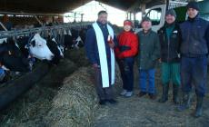 Le messe per celebrare Sant'Antonio a Pieveottoville