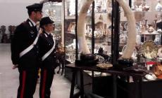 Animali imbalsamati e zanne di elefante: controlli dei carabinieri forestali al "Mercante"