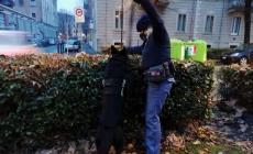 I poliziotti a quattro zampe fiutano oltre due etti di hashish nascosti tra parchi e viali