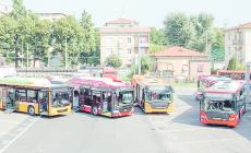 Bus per Parma, da Collecchio il 6 rimane ogni mezz'ora