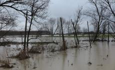 Preoccupano i corsi d'acqua della provincia. Ma il peggio sta passando - Enza: foto e video