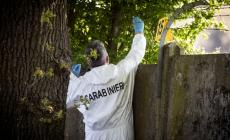 Colpo alla Magnani Rocca, le ipotesi sul destino dei pezzi &laquo;invendibili&raquo;