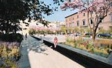 KilometroVerde ridisegna piazzale Borri: in arrivo nuovi giochi e piante anti-caldo