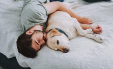 Animali domestici, con la  pandemia è boom nelle case italiane