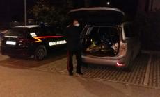 Maiatico: doppio colpo dei ladri ma l'arrivo dei carabinieri li costringe a lasciare il bottino