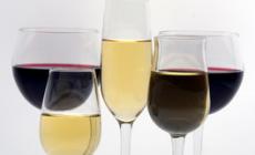 I vini di Parma: andamento lento