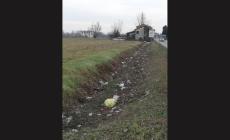 Quella discarica (abusiva) lungo via Baganzola