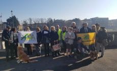 Pista ciclabile nel greto del torrente: "no" di 10 associazioni. Incontro pubblico il 13 febbraio
