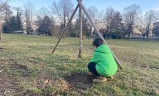 Sorpresa al parco: bimbo scava una buca e trova una pistola