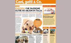 Oggi speciale su cani, gatti & Co. con la Gazzetta di Parma