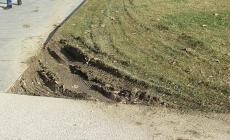 Piazza della Pace: c'è bisogno di rovinare così il prato? - Foto