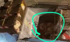 Via Farini: rifiuti indifferenziati assieme all'organico? Sembra  così vedendo il video di un lettore