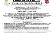 Camminata tra i boschi di Fornio