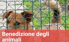 Benedizione davanti alla casa degli animali di Parma