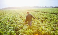 A Parma corre la green economy, agroalimentare in testa