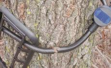 Furti seriali delle fototrappole per i lupi