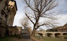 A spasso nel greto del torrente: sorprese senza fine